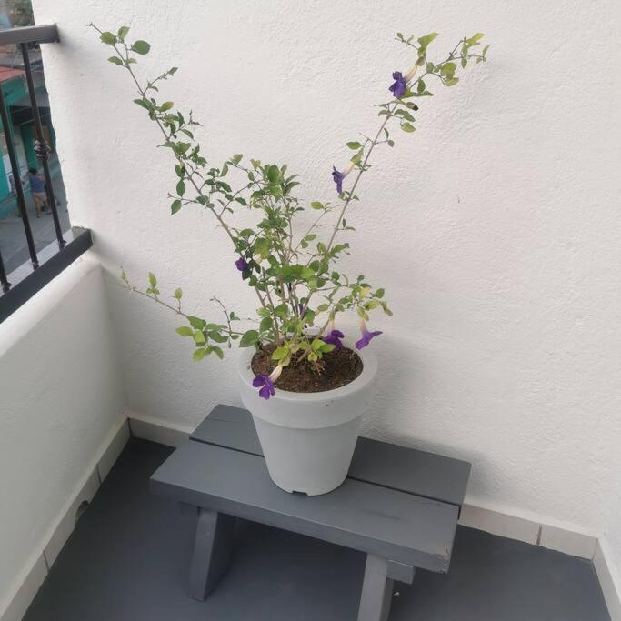 זיהואטנחו Lovely Studio Apartment With Balcony Ac & Wi-Fi, Minutes From Downtown! מראה חיצוני תמונה