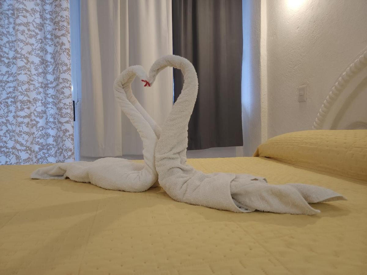זיהואטנחו Lovely Studio Apartment With Balcony Ac & Wi-Fi, Minutes From Downtown! מראה חיצוני תמונה