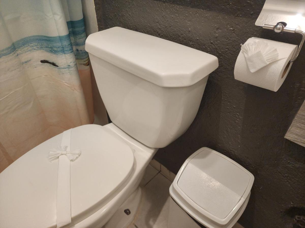 זיהואטנחו Lovely Studio Apartment With Balcony Ac & Wi-Fi, Minutes From Downtown! מראה חיצוני תמונה